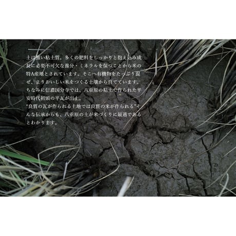 【熟成酒】湯川酒造店 十六代九郎右衛門 金紋錦 火入れ 生酛