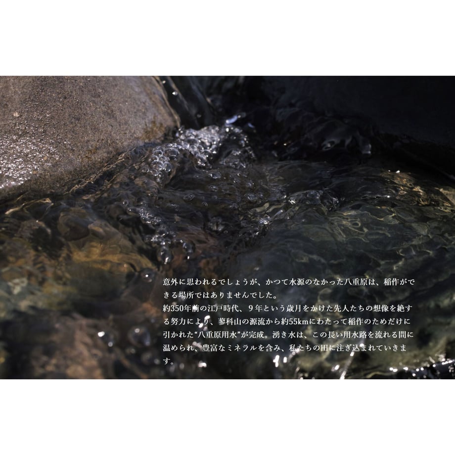 640d527d5d04872655a57af1