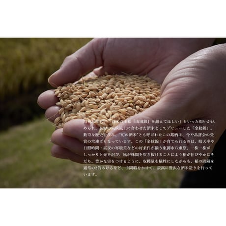 【熟成酒】湯川酒造店 十六代九郎右衛門 金紋錦 火入れ 生酛
