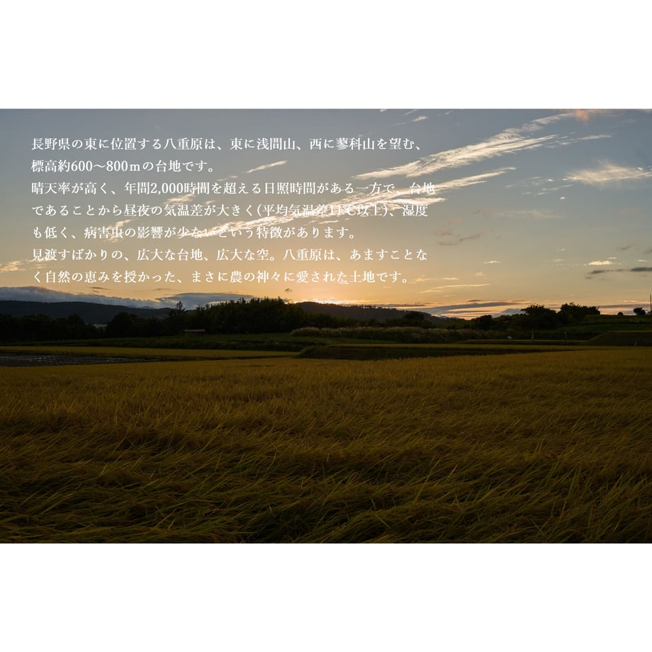 6369abe65988dc52c0693307