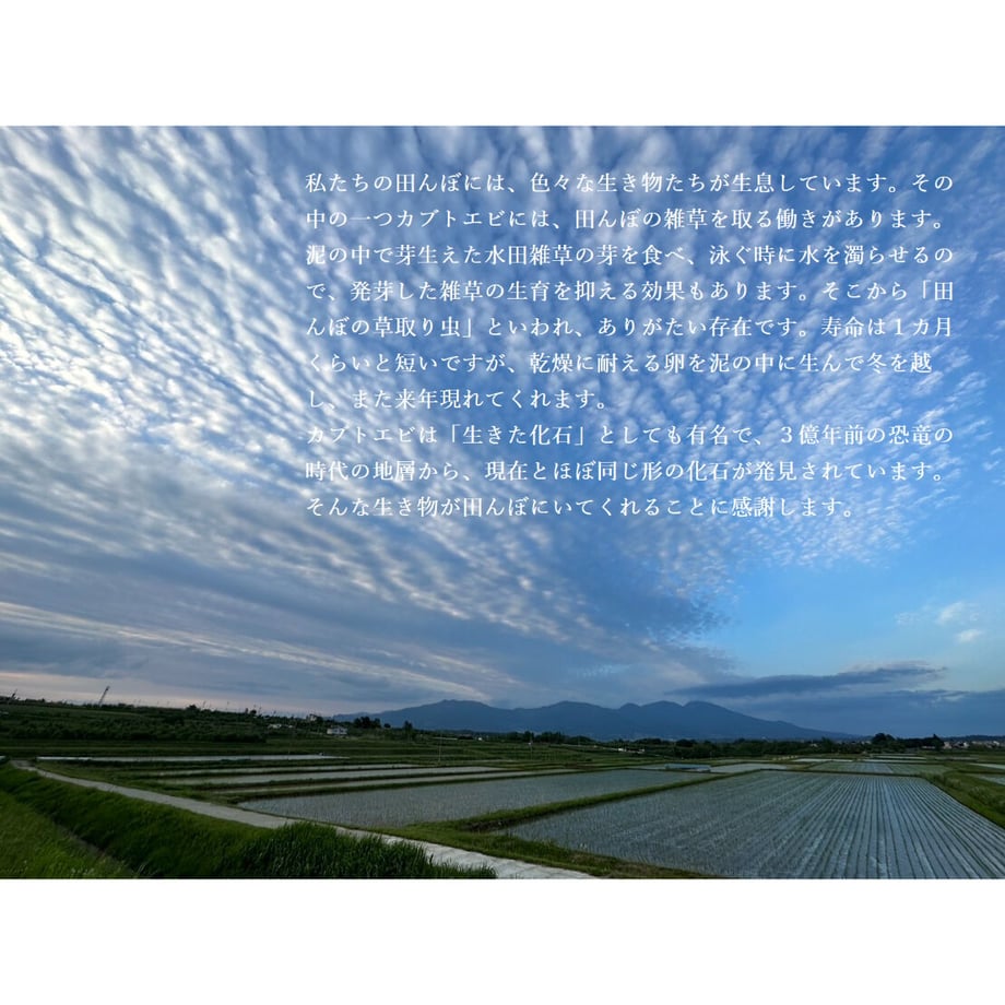 640d527d5d04872655a57af1