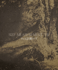 size measurement chip