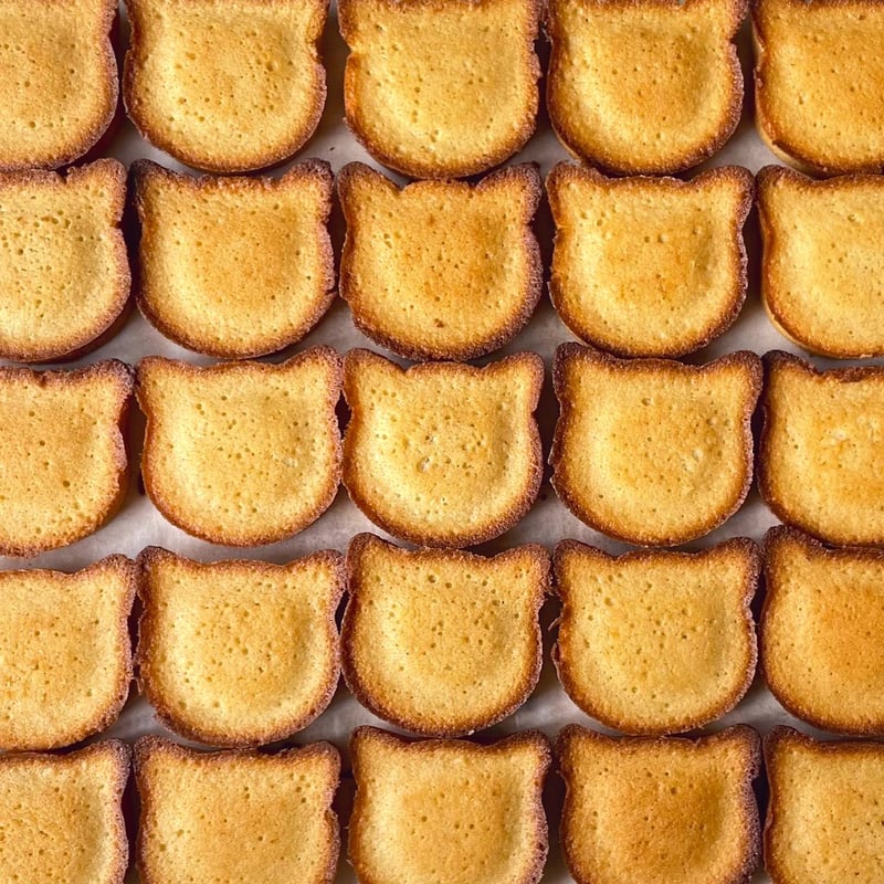 グシコロお菓子とKINCHAKU袋のセット（おまけ付き） | CAT
