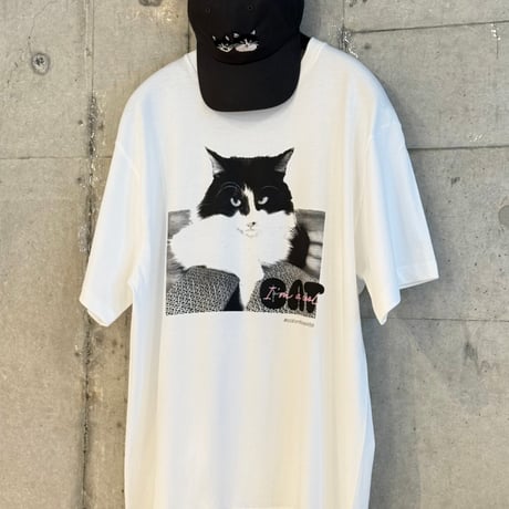 ITEM | CAT & BAKES 9456