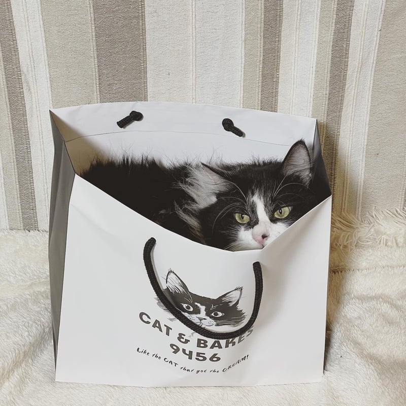 グシコロコロコロラスク24個セット（ロゴ入り紙袋のおまけ付き） | CAT