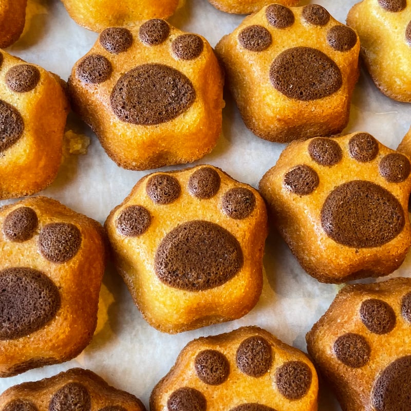 グシコロ猫だらけお菓子セットC（おまけ付き） | CAT & BAKES 9456