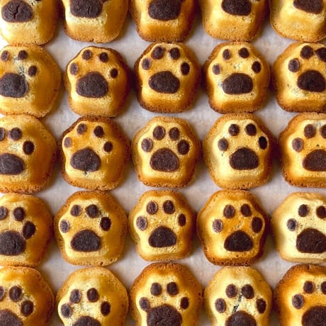 グシコロ猫だらけお菓子セットB（おまけ付き）