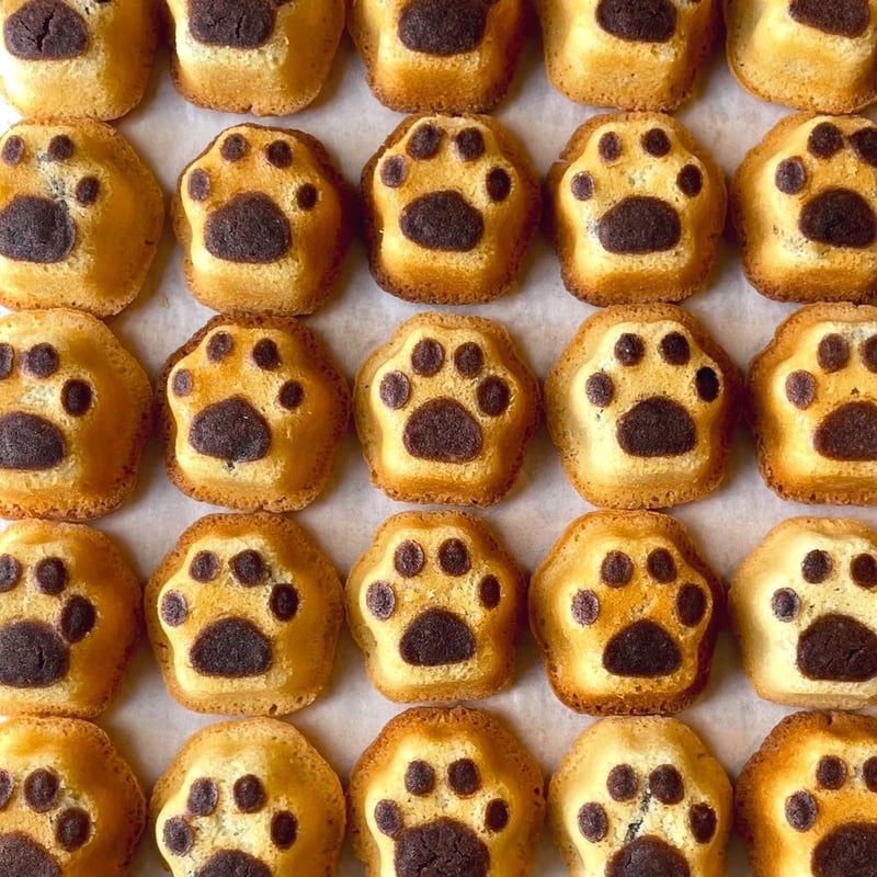 DDD-ZAKURO 6袋セット　ぞうねこちゃんねる グシコロ猫だらけお菓子セットD（おまけ付き） | CAT & BAKES 9456