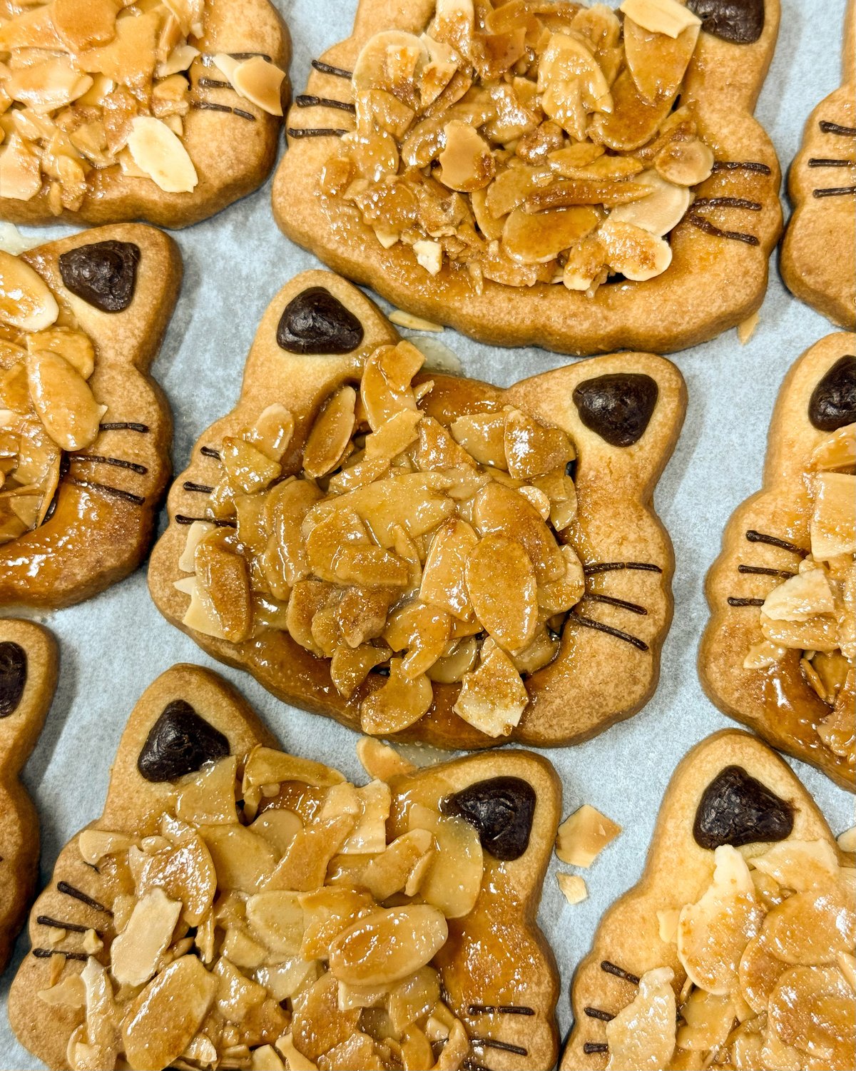 グシコロ猫だらけお菓子セットD（おまけ付き） | CAT & BAKES 9456