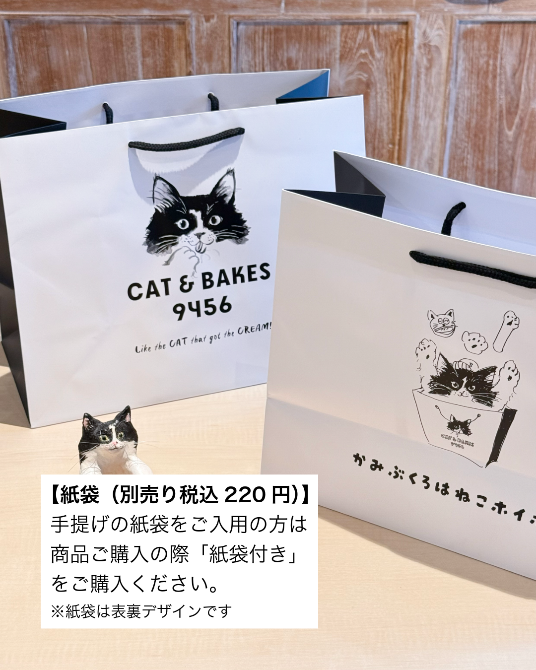 お化粧ねこ 2026お年賀 猫だらけGIFTBOX【黒】 | CAT & BAKES 9456