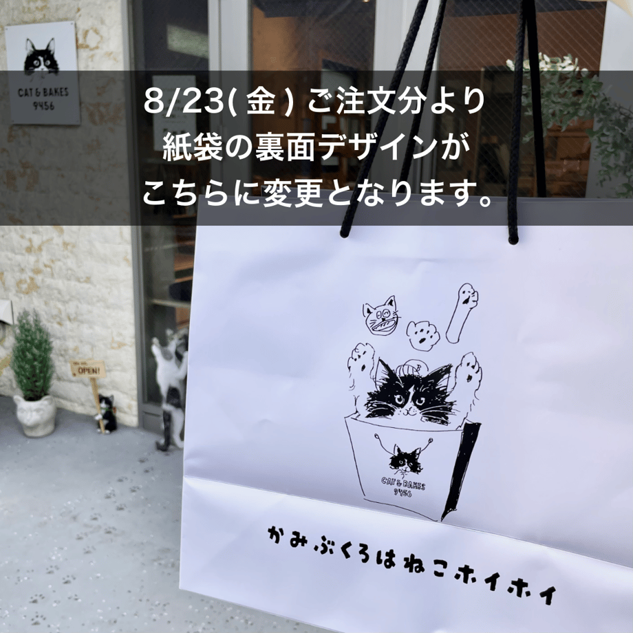 63ef3bcd3313d258f18e6956
