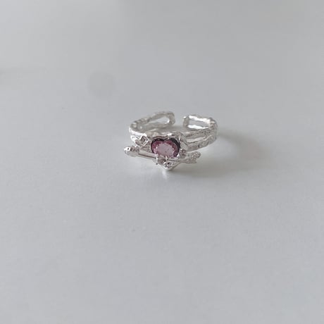s_e ring