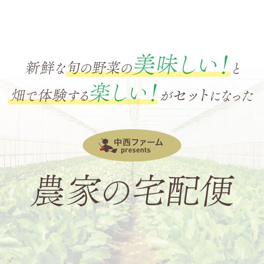 6327b44d60bab45d7f39c040