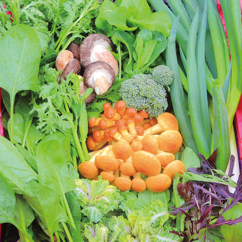 農家の宅配便【月1便】野菜宅配のみ | 中西ファーム オンラインSHOP