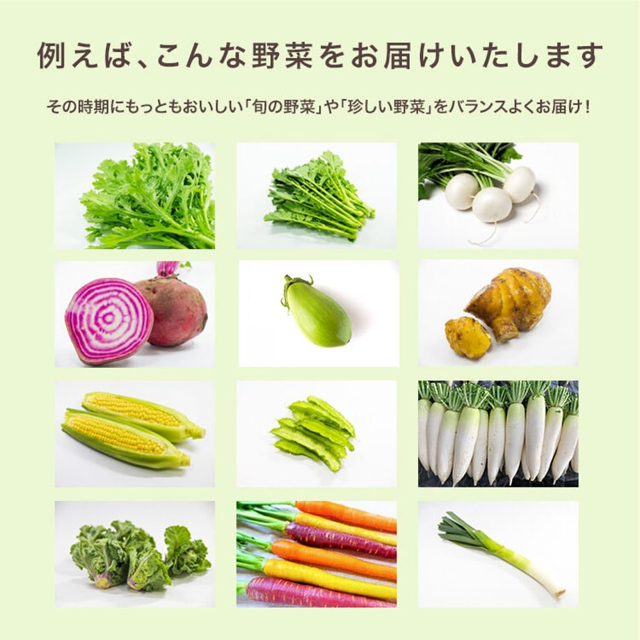 62ecf1011d6b105deb9e8ea7