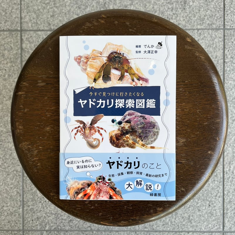 今すぐ見つけに行きたくなるヤドカリ探索図鑑 | SAKANA BOOKS オンライン 今すぐ見つけに行きたくなるヤドカリ探索図鑑 | SAKANA BOOKS オンライン