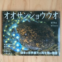 ナマズの博覧誌 | SAKANA BOOKS オンライン