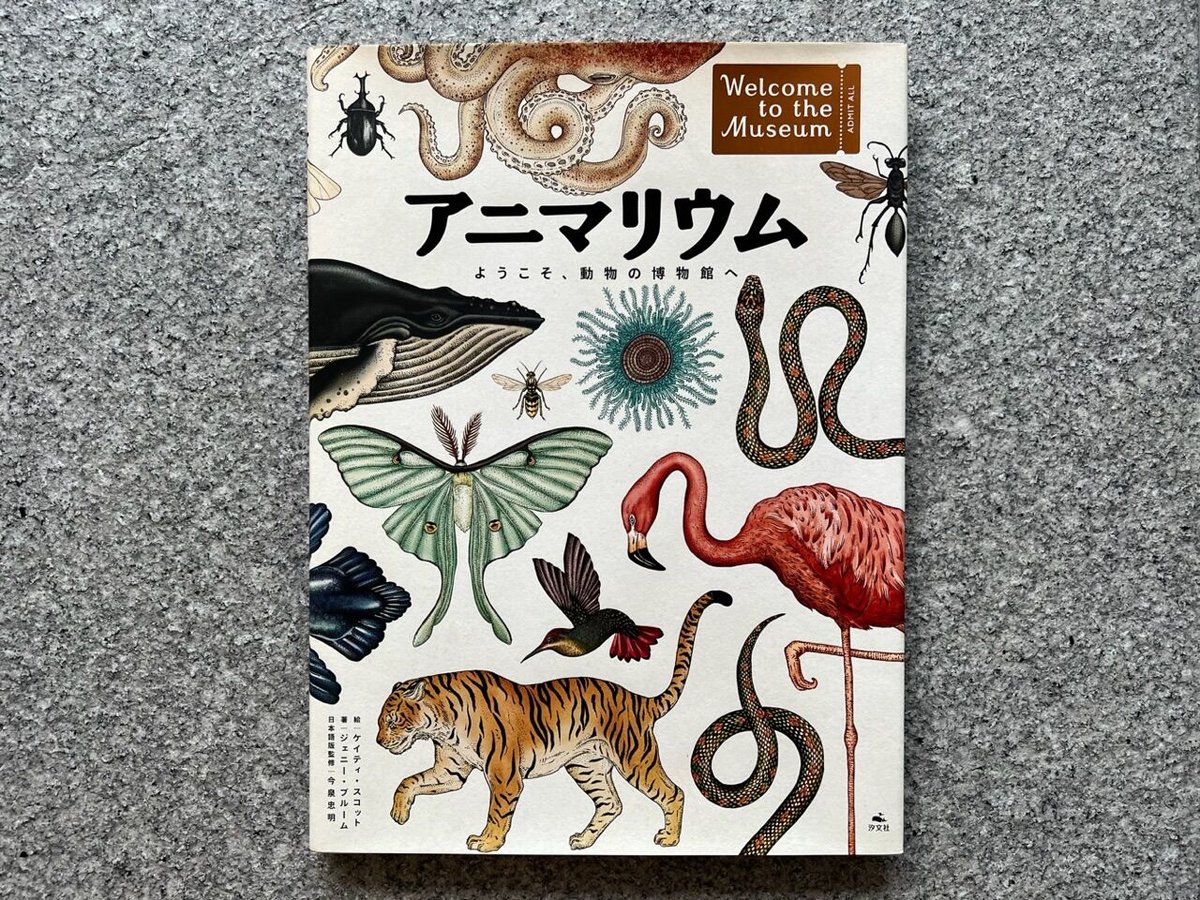 アニマリウム ようこそ、動物の博物館へ | SAKANA BOOKS オンライン