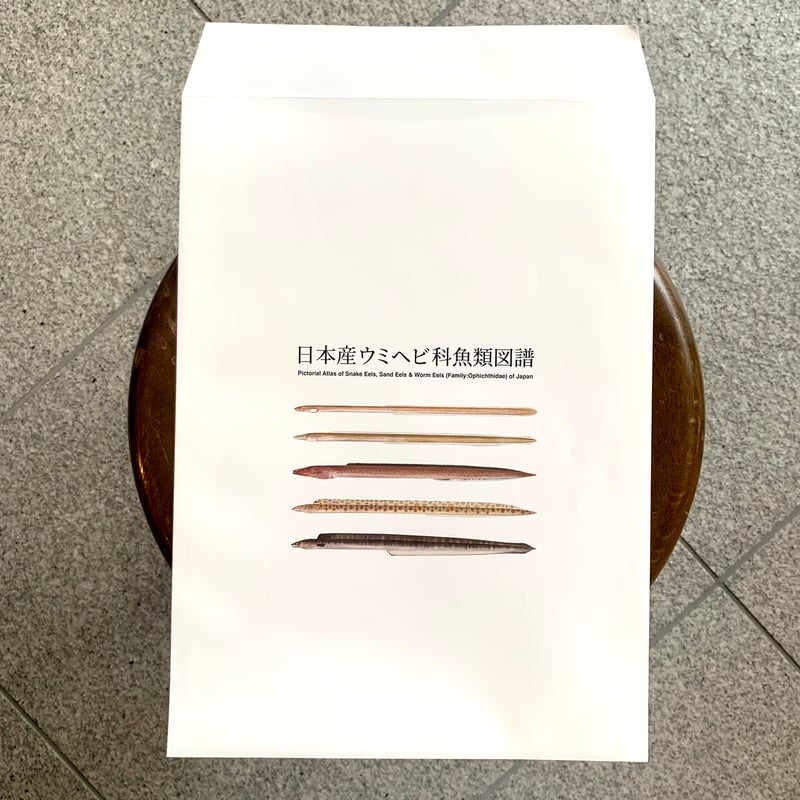日本産ウミヘビ科魚類図譜 Pictorial Atlas of Snake Eels, San