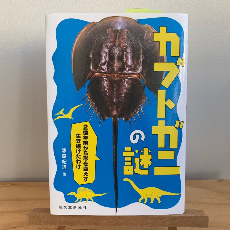 【超希少】カブトガニ　標本　天然記念物 カブトガニ標本 天然記念物 - メルカリ