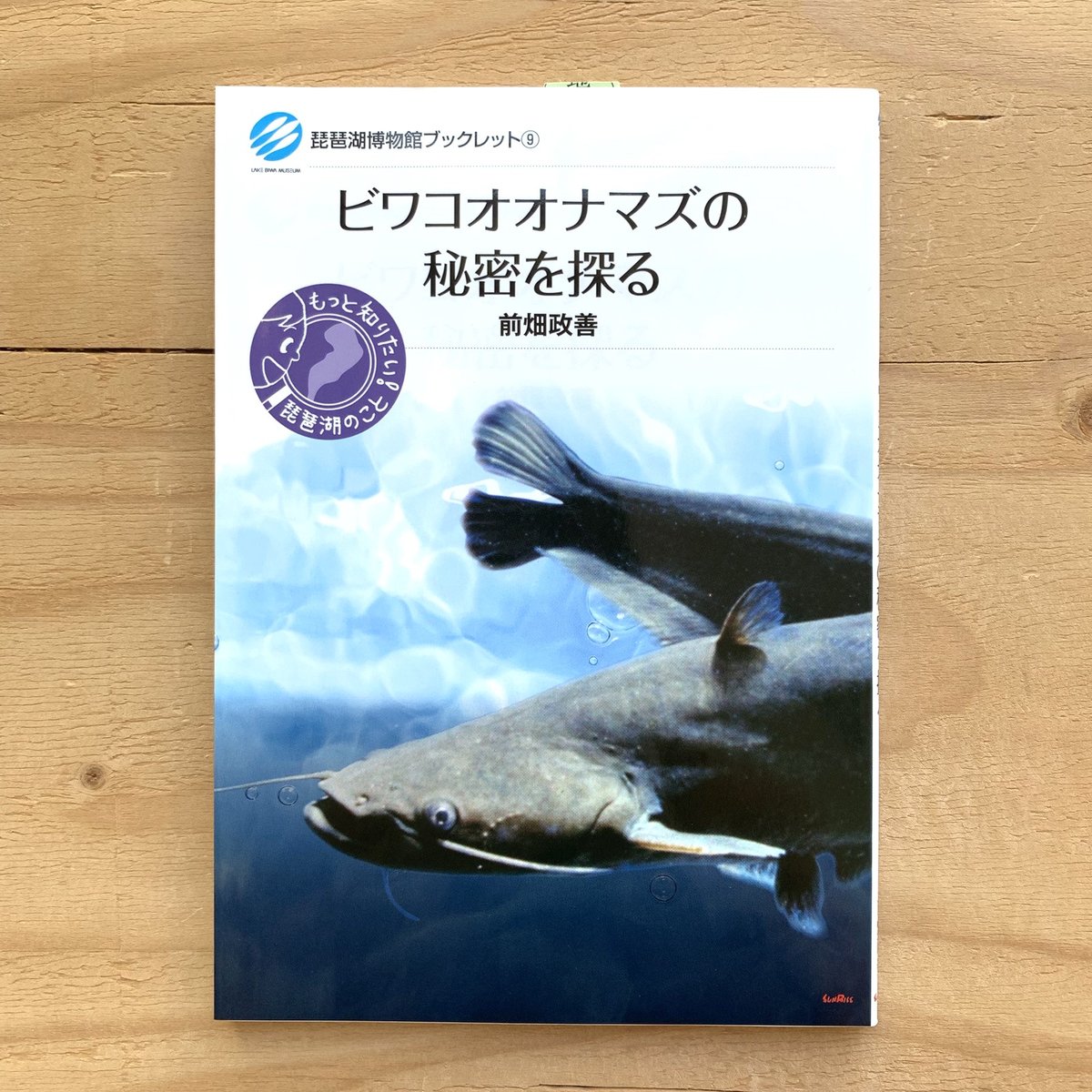 琵琶湖博物館ブックレット 9 ビワコオオナマズの秘密を探る | SAKANA 