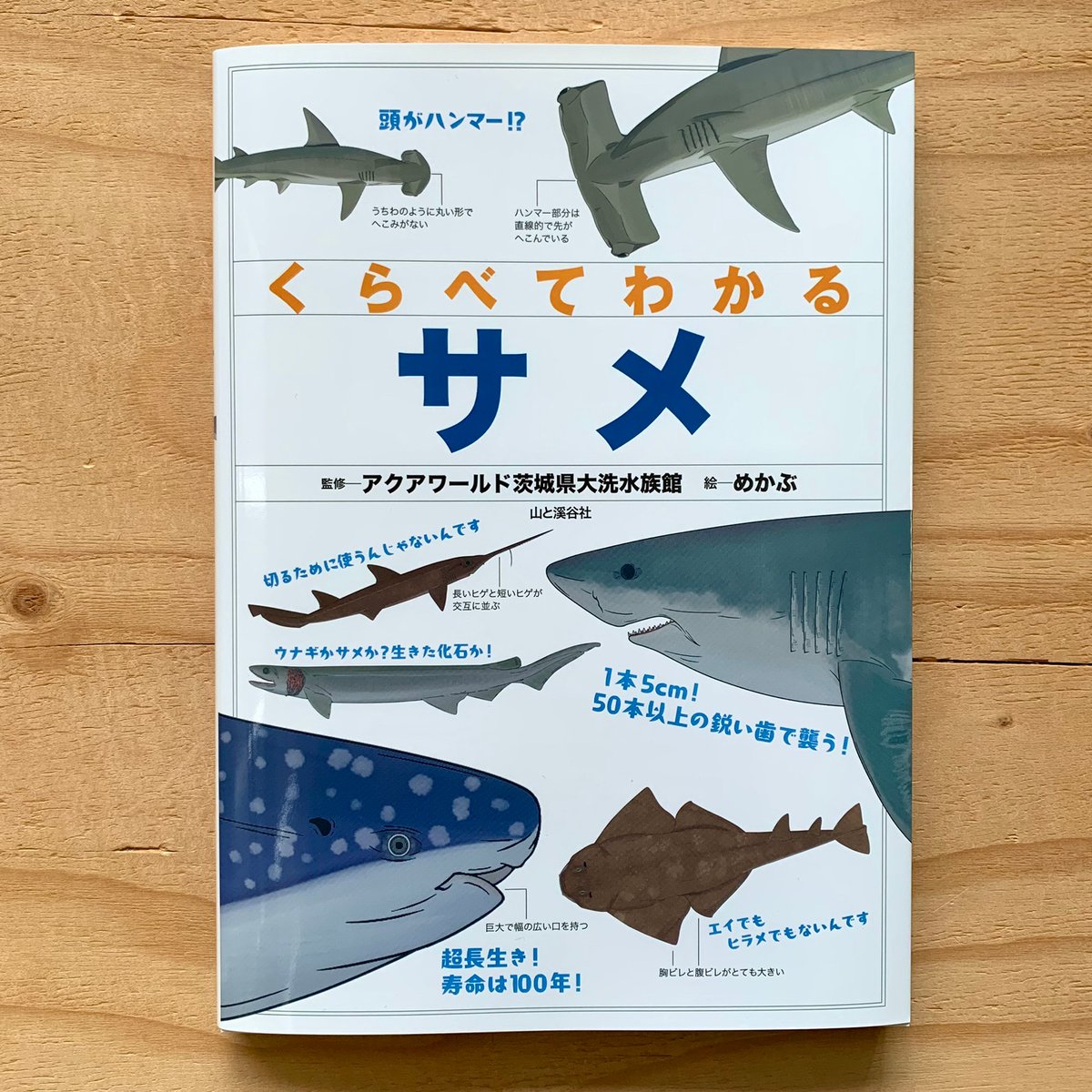 くらべてわかるサメ | SAKANA BOOKS オンライン