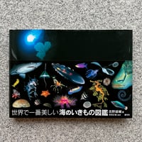 海棲哺乳類大全 彼らの体と生き方に迫る | SAKANA BOOKS オンライン