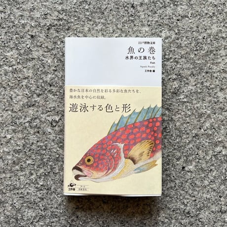CATEGORY 博物誌・魚譜 | SAKANA BOOKS オンライン