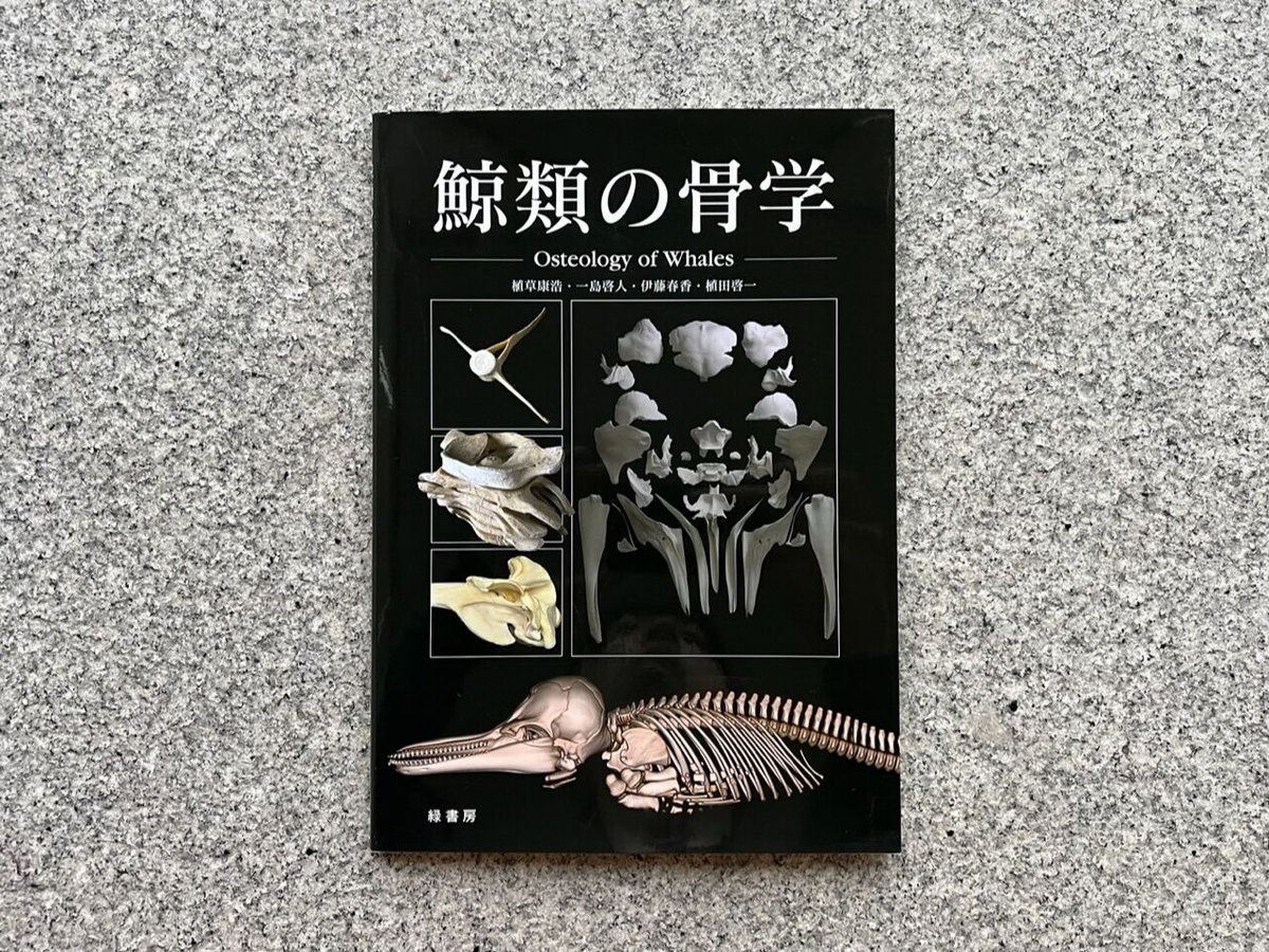 鯨類の骨学 | SAKANA BOOKS オンライン
