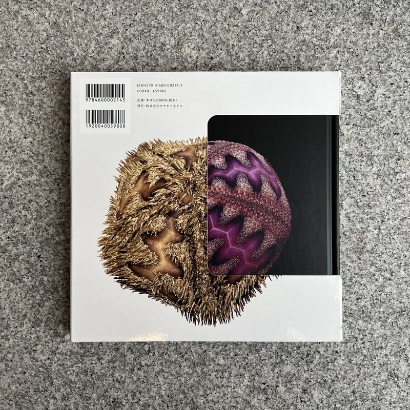 あなたが知らないウニの世界 | SAKANA BOOKS オンライン