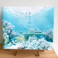 海棲哺乳類大全 彼らの体と生き方に迫る | SAKANA BOOKS オンライン 海棲哺乳類大全 彼らの体と生き方に迫る | SAKANA BOOKS オンライン