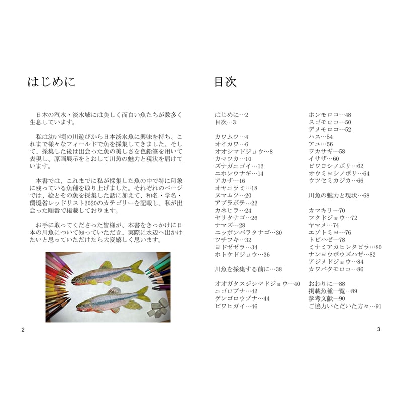 未来に残したい日本の川魚 第一章 ～40点の色鉛筆画と採集記