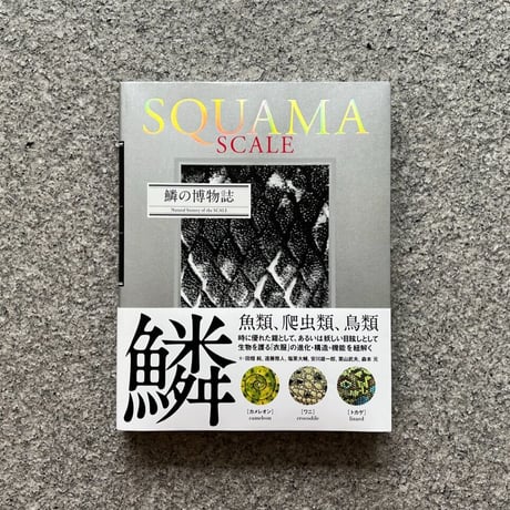 [紀州・熊野採集]日本魚類図譜 紀州・熊野採集]日本魚類図譜 紀州・熊野採集日本魚類図譜