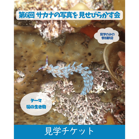 さかなページ Amazon | エポック社（EPOCH） 100ラージピース ジグソーパズル