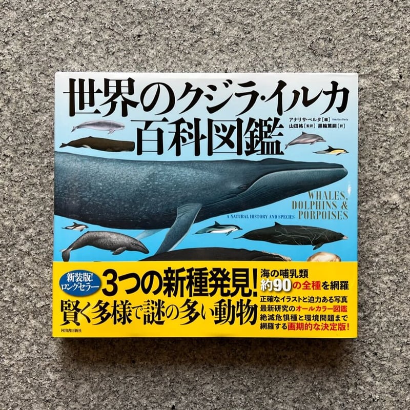 世界のクジラ・イルカ 百科図鑑 | SAKANA BOOKS オンライン
