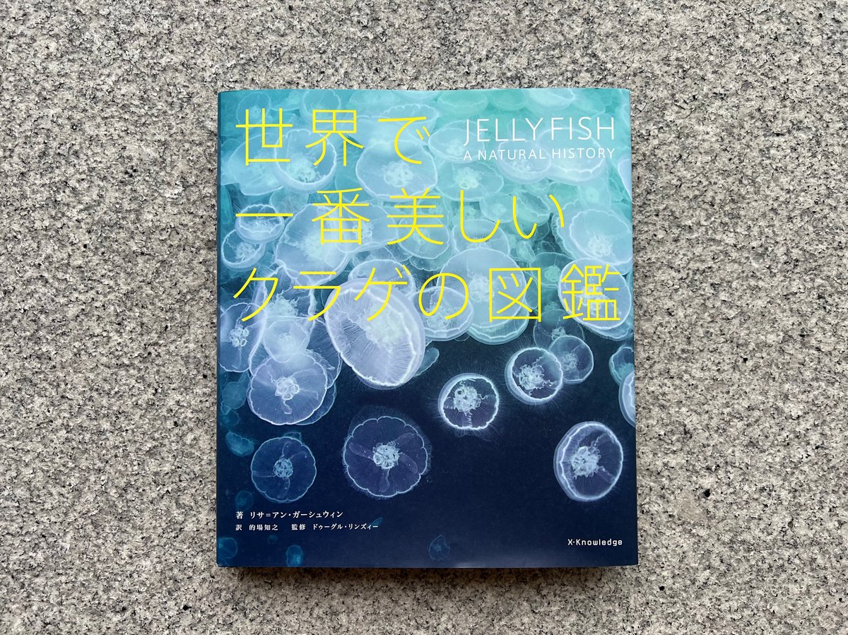 世界でいちばん美しい皿の図鑑 楽天市場】世界でいちばん美しい皿のの通販