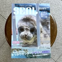 月刊SEAL コミケ特大号 2025 8月号