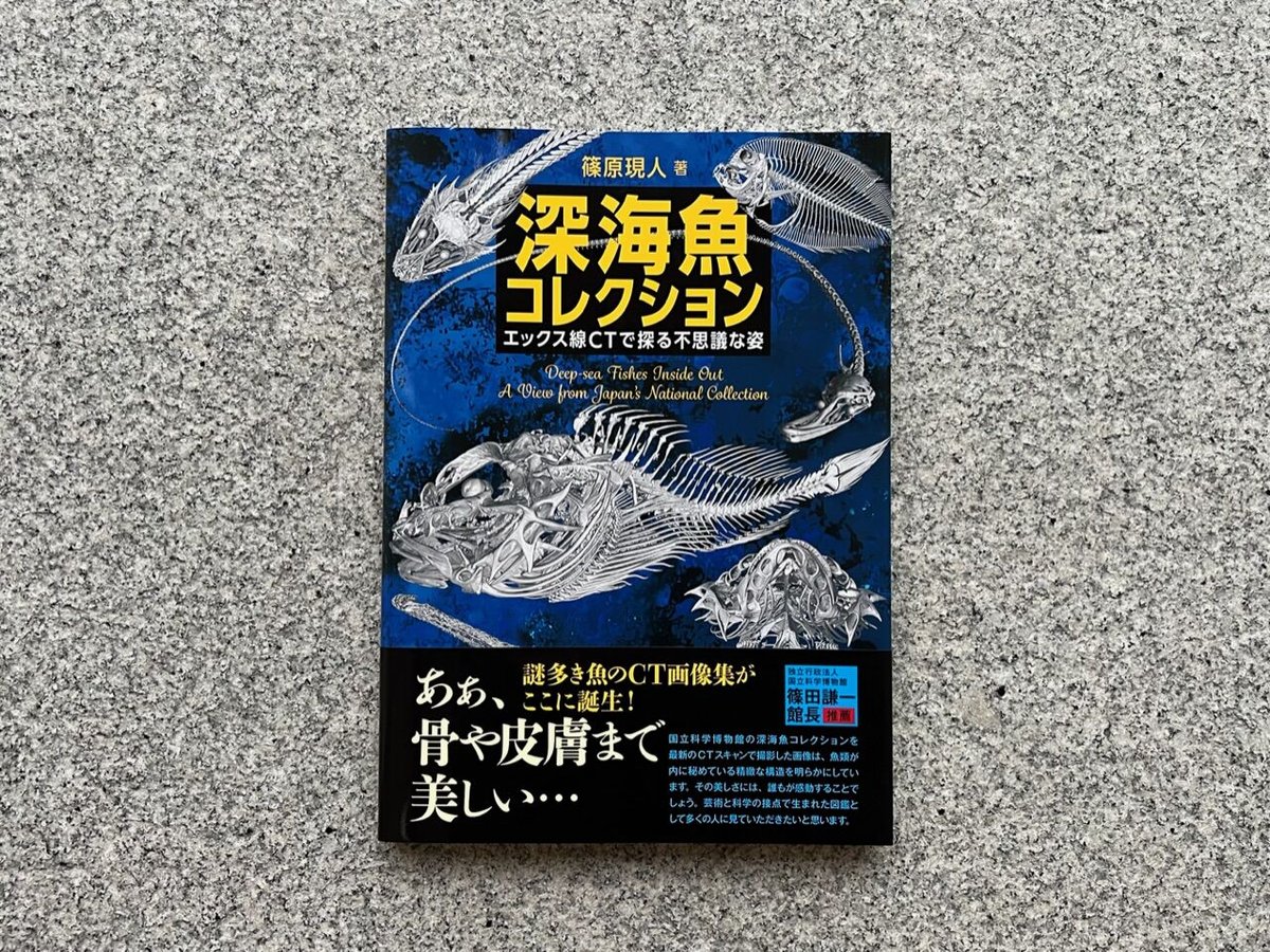 深海魚コレクション エックス線CTで探る不思議な姿 | SAKANA BOOKS