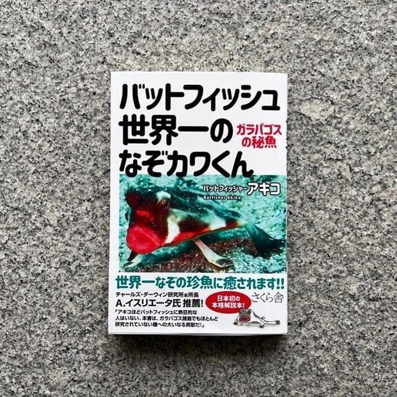 バットフィッシュ 世界一のなぞカワくん ガラパゴスの秘魚 | SAKANA