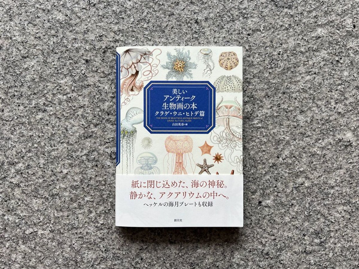 洋書　古書　美しいアンティークブック　1880年発行　海の驚異　海の生き物　自然 洋書 古書 美しいアンティークブック 1880年発行 海の驚異 海の