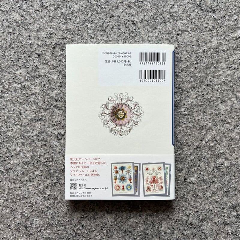 洋書　古書　美しいアンティークブック　1880年発行　海の驚異　海の生き物　自然 Amazon.co.jp: +..。゜+ 海の生き物たちの図鑑 ドイツの