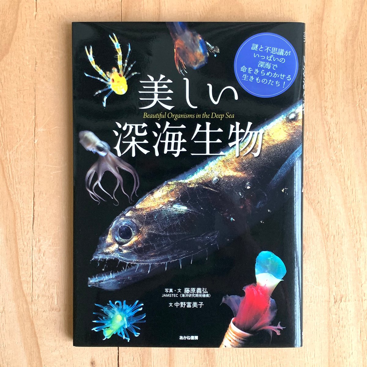 洋書 The Deep 深海生物の写真集 こちら カレンダー「深海生物図鑑」 企画・編集部