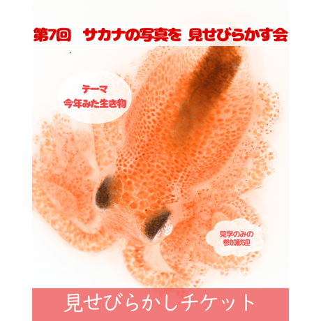 SAKANA BOOKS オンライン