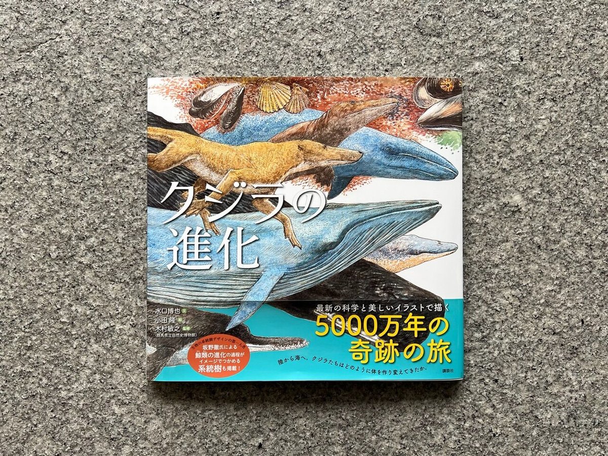 鯨の樹 柔らかかっ