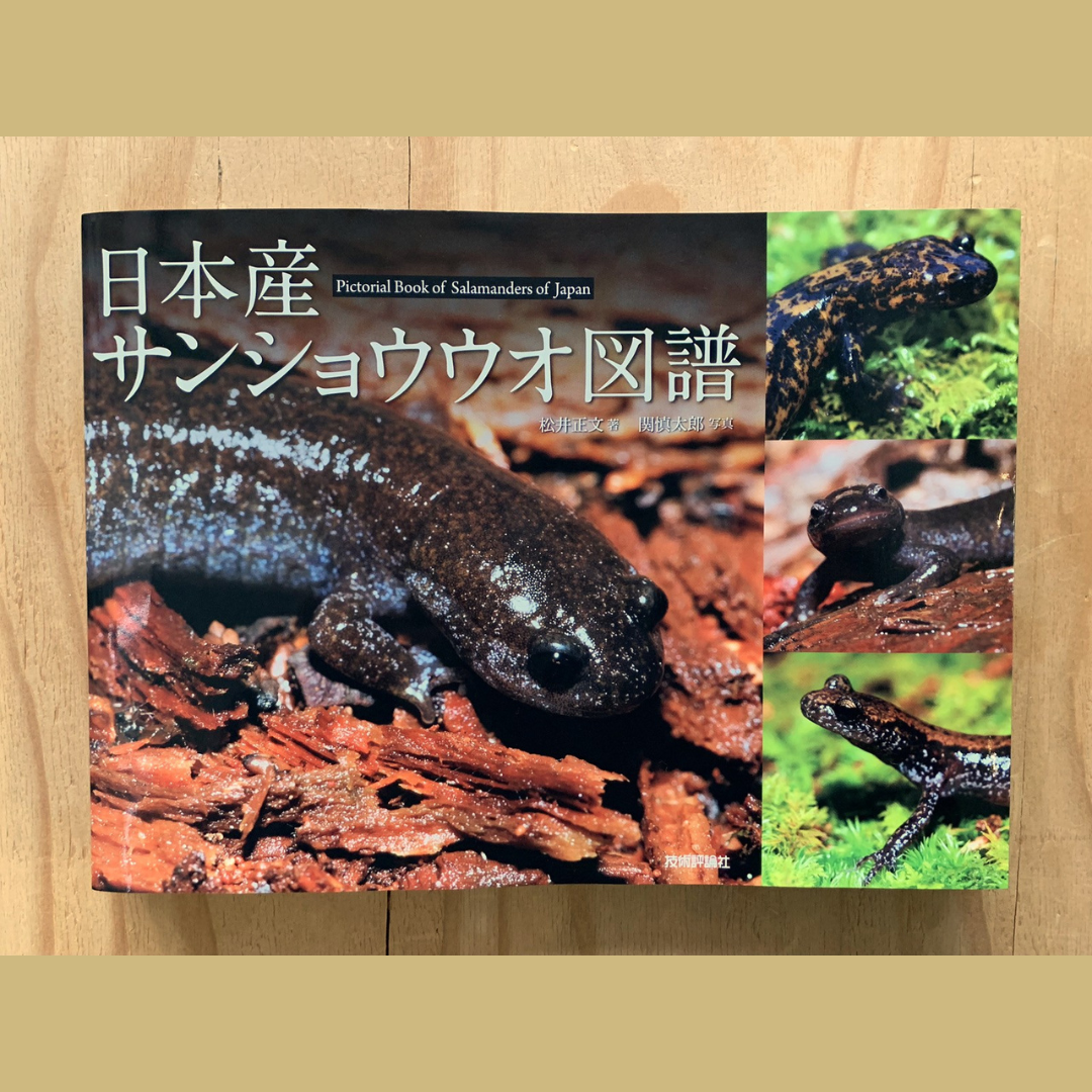 日本産サンショウウオ図譜 | SAKANA BOOKS オンライン