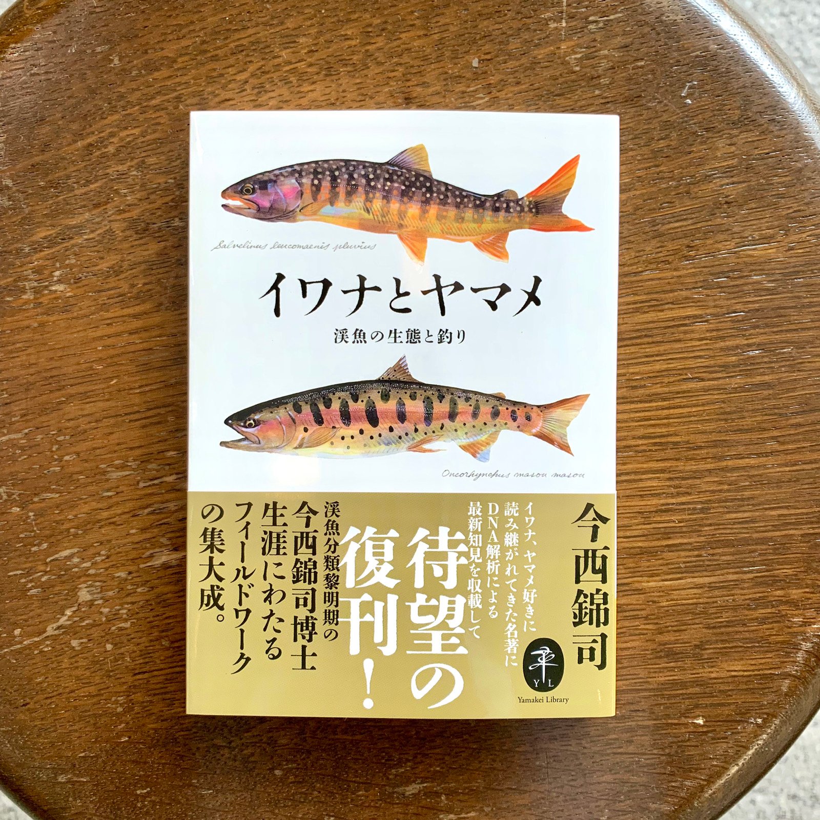 魚名文化圏 イワナ編852 ヤマケイ文庫 イワナとヤマメ 渓魚の生態と釣り | SAKANA BOOKS オンライン