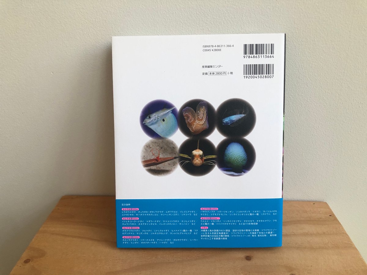 強い波動のソマチ砂と祈祷済水晶をブレンドしたパラワンサンド砂枕　(藍色) 強い波動のソマチ砂と祈祷済水晶をブレンドしたパラワンサンド砂