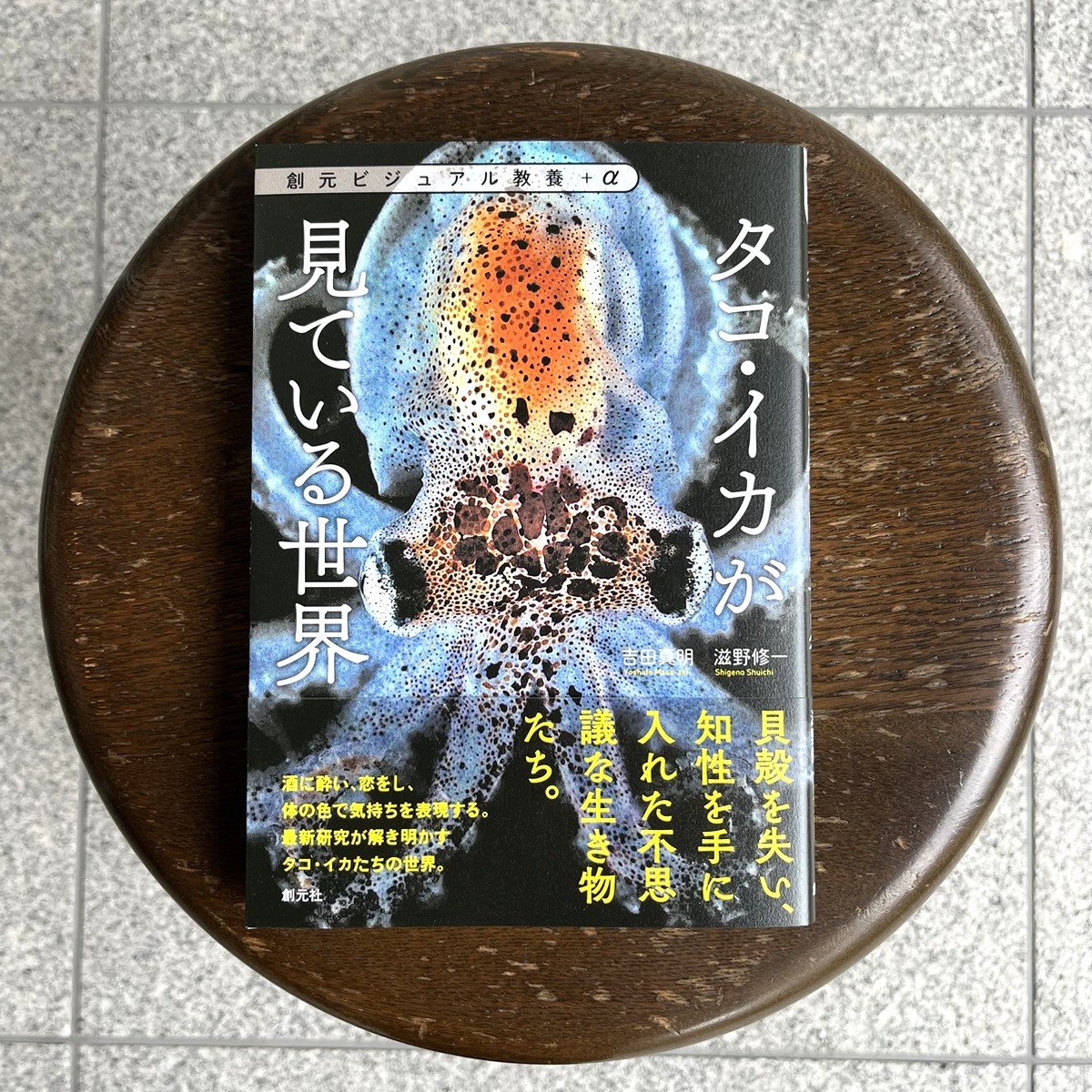 創元ビジュアル教養＋α タコ・イカが見ている世界 | SAKANA BOOKS