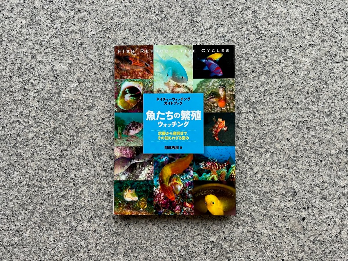 魚たちの繁殖ウォッチング ネイチャーウォッチングガイドブック Amazon