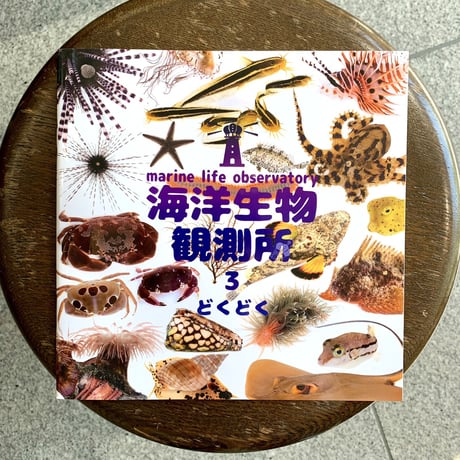 CATEGORY 図鑑 | SAKANA BOOKS オンライン